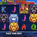 the tiger warrior slot